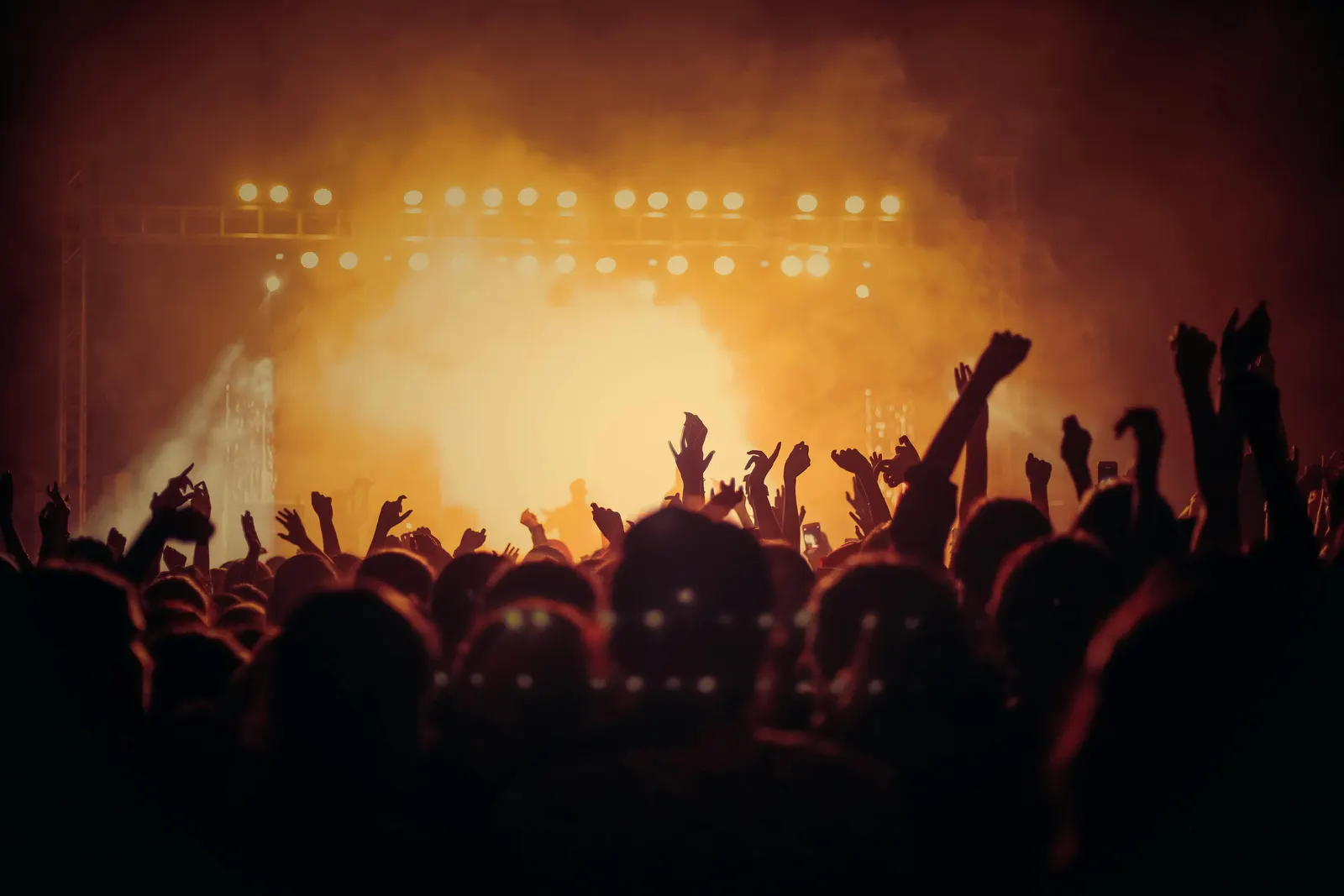 Concert crowd