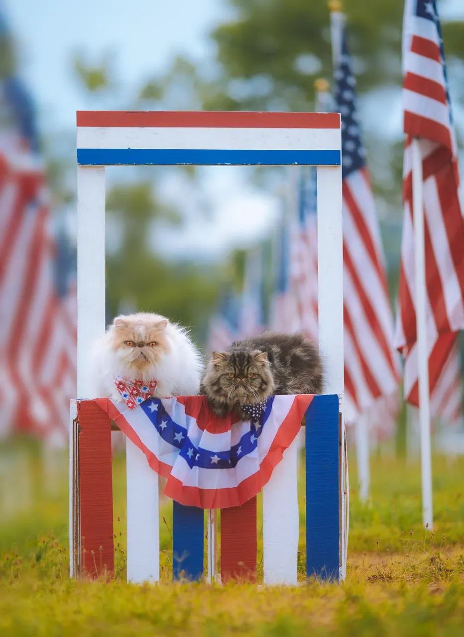 Memorial Day in Houston