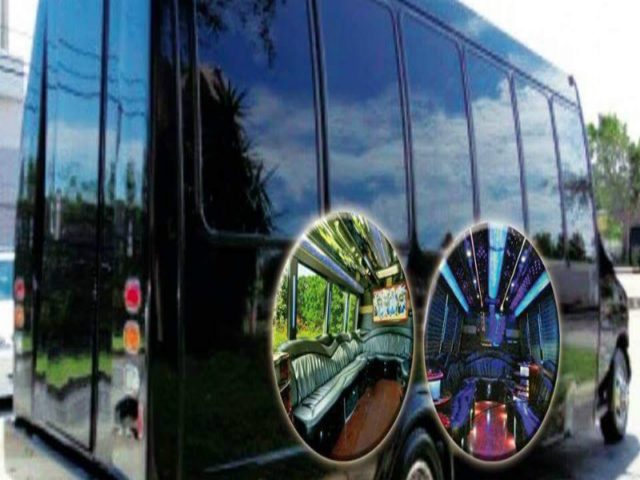 20 Passenger Party Bus - Executive